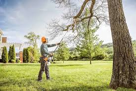 Best Commercial Tree Removal  in USA